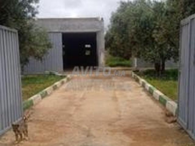 Local commercial location à Ain Cheggag