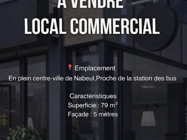 Propriété vente à Nabeul, Beni Khalled