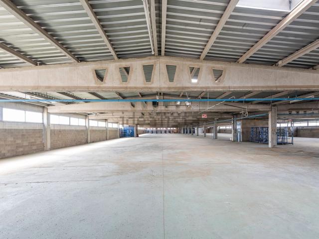 Nave en alquiler en Cornellà De Llobregat, Barcelona