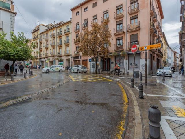 Local Comercial en venta en Centro, Comarca de la Vega de Granada