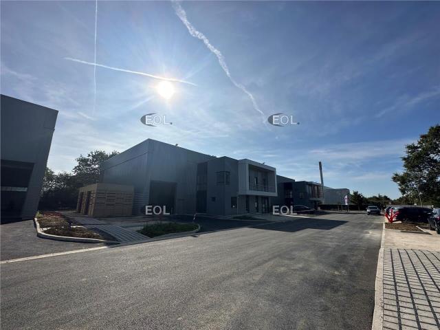 Local Commercial location à Torcy, Chanteloup-en-brie