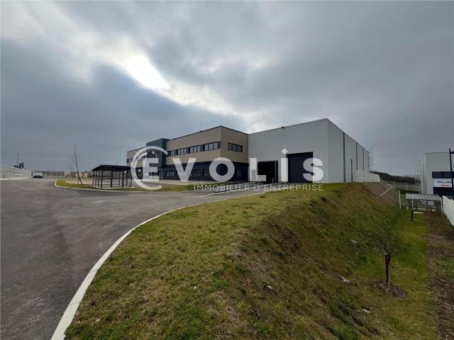 Local Commercial location à Lyon, Rhône