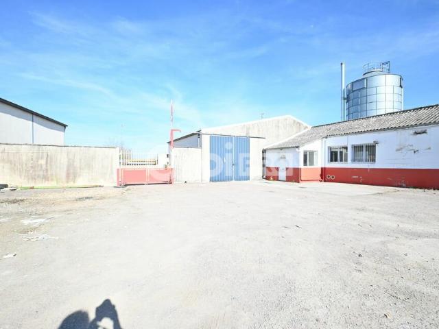 Local Commercial location à Chalon-sur-Saône, Crissey