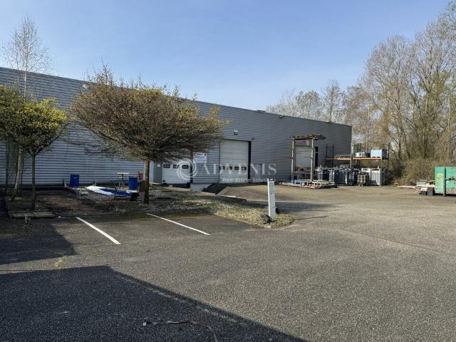 Local Commercial location à Strasbourg, La Wantzenau