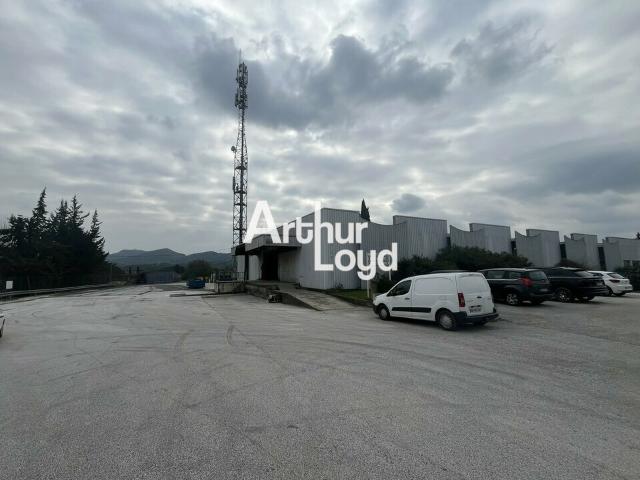 Local Commercial location à Arrondissement de Draguignan, Le Muy