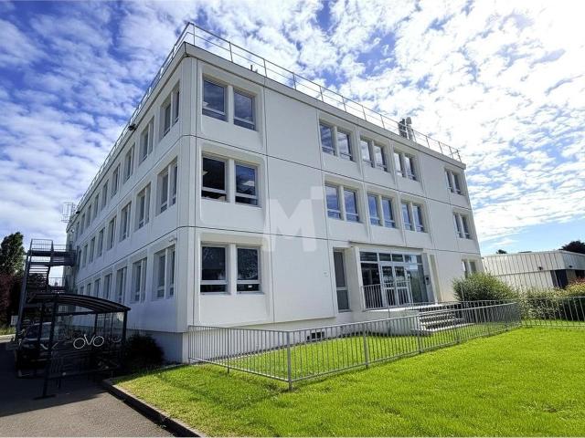 Local Commercial location à Palaiseau, Les Ulis