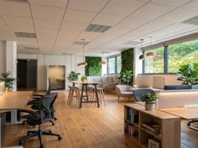 Local Commercial location à Palaiseau, Les Ulis