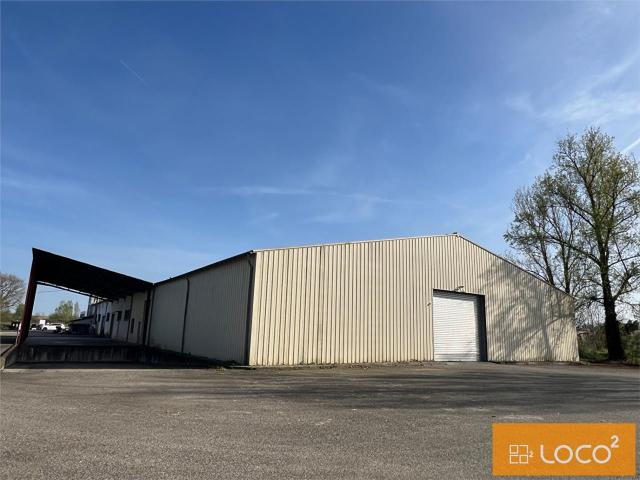 Local Commercial location à Montauban