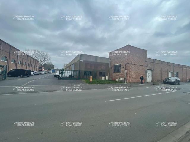 Local Commercial location à Lille, Pérenchies