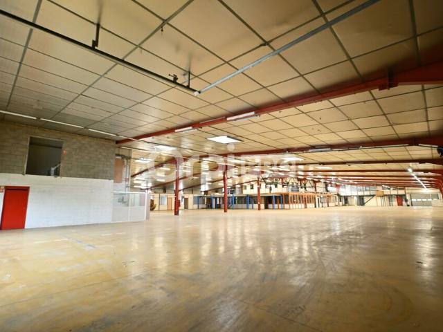 Local Commercial location à Lyon, Métropole de Lyon