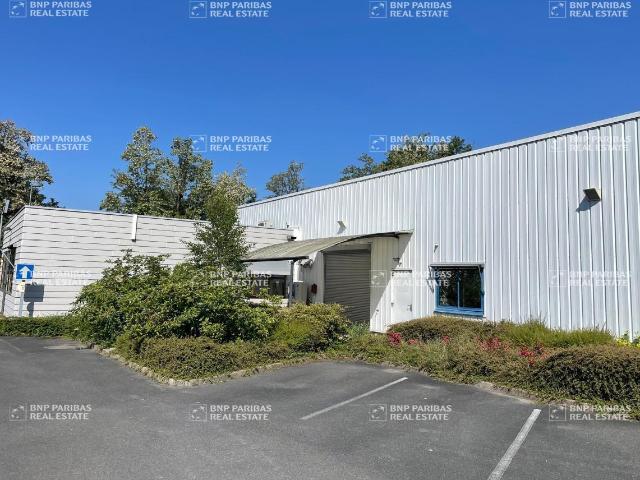 Local Commercial location à Orléans, Saint-cyr-en-val