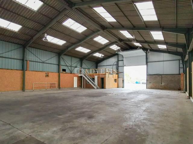 Local Commercial location à France métropolitaine, Bretagne