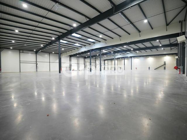 Local Commercial location à Lyon, Rhône