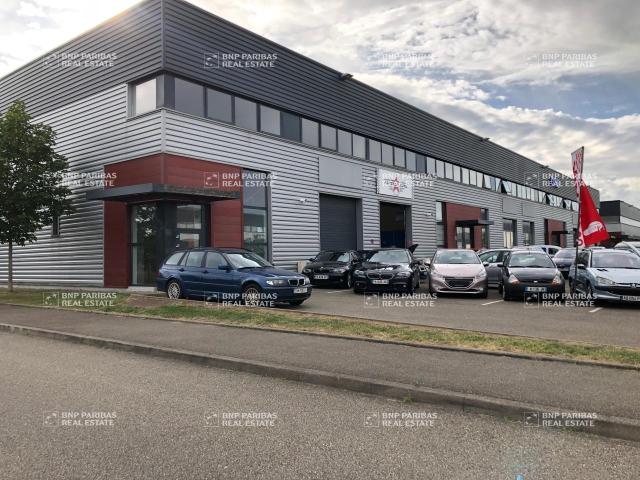 Local Commercial location à Strasbourg, Hoenheim