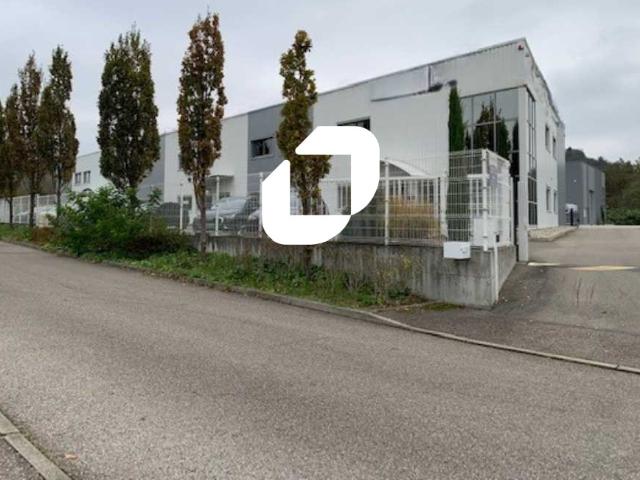 Local Commercial location à Lyon, Rhône