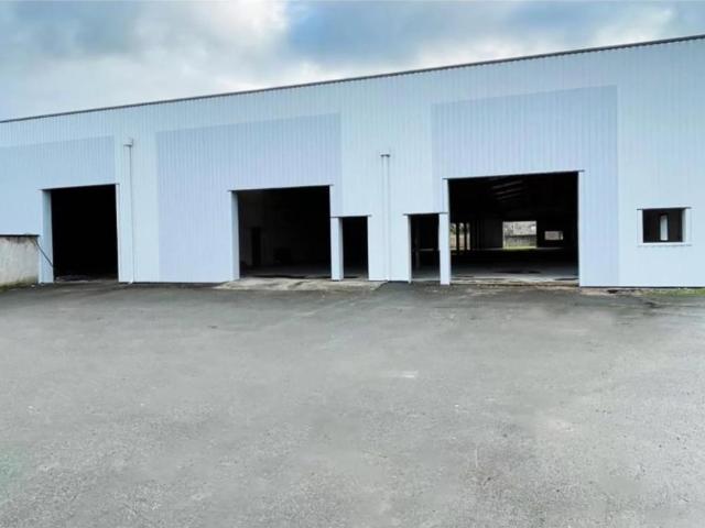 Local Commercial vente à Bourg-en-Bresse, Châtillon-sur-chalaronne