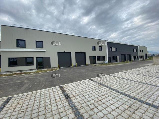 Local Commercial vente à Colmar-Ribeauvillé, Bergheim