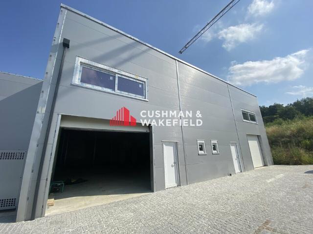 Local Commercial vente à Grisolles, Tarn-et-Garonne