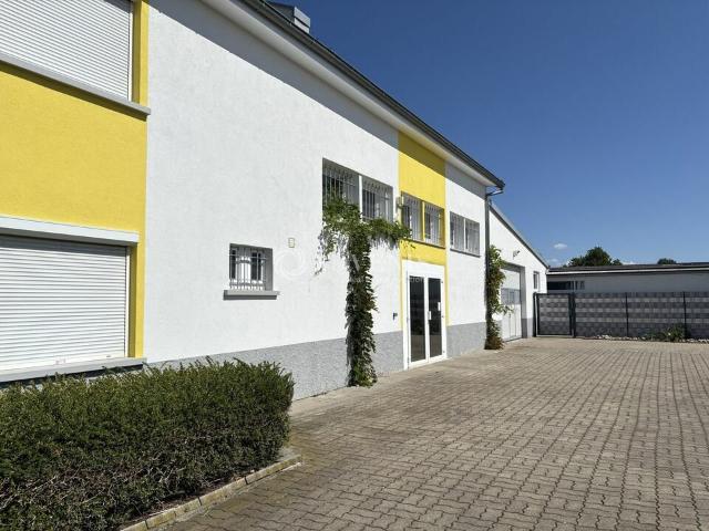 Local Commercial vente à Zone Industrielle de Bischheim-Hoenheim, Hœnheim