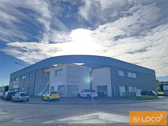 Local Commercial vente à Toulouse, Pechbonnieu