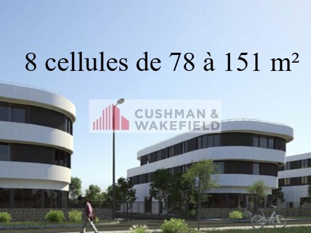 Local Commercial vente à Sète