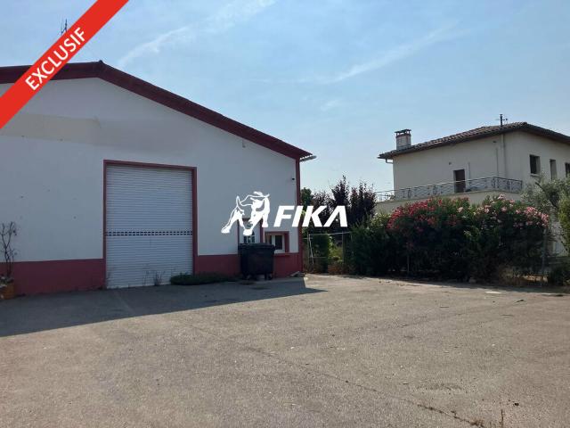 Local Commercial vente à Toulouse