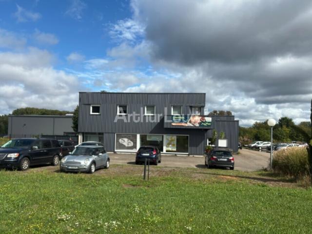 Local Commercial vente à Haguenau-Wissembourg, Wissembourg