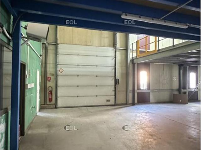 Local Commercial location à Torcy, Collégien