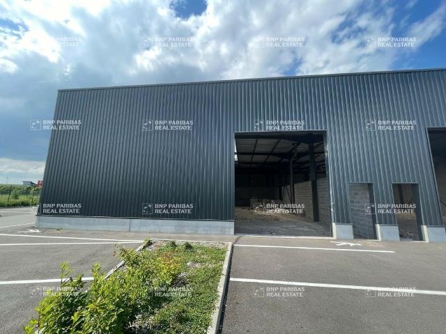 Local Commercial location à Lille, Annoeullin