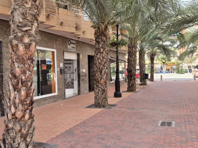 Local Comercial en alquiler en el Baix Segura / La Vega Baja, Valencia