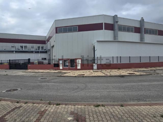 Nave en venta en Bahía de Cádiz, Andalucía