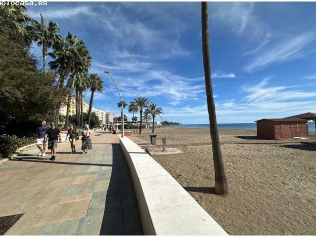 Local Comercial en alquiler en Barriada Blas Infante, Estepona