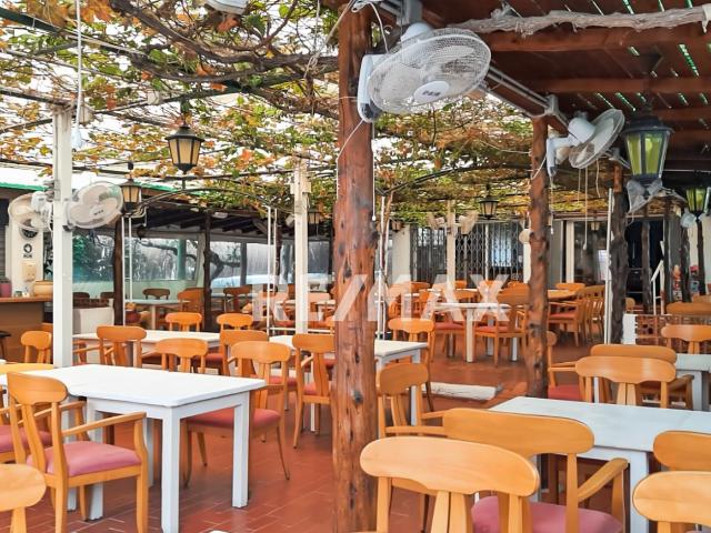 Local Comercial en alquiler en Torrevieja, Valencia