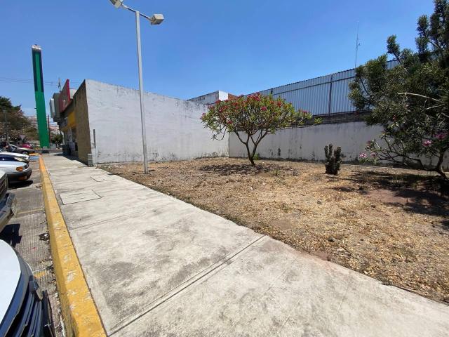 Terreno en renta en Tepic, Nayarit