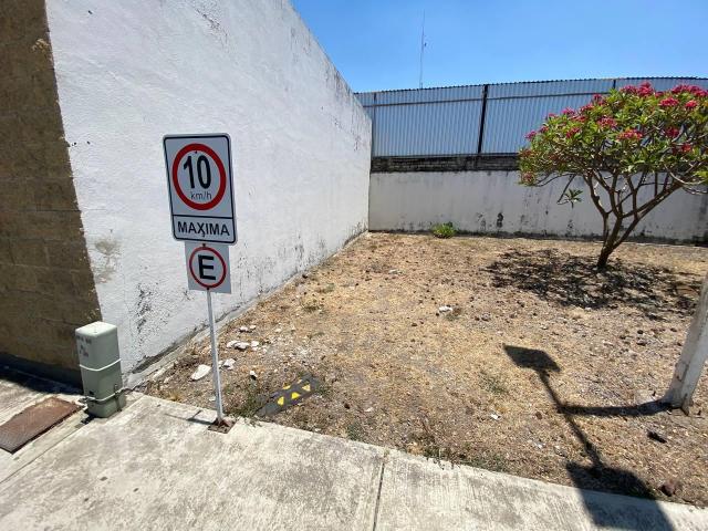 Terreno en renta en Tepic, Nayarit