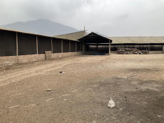 Local Comercial alquiler en Manchay, Lima Metropolitana