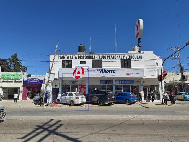 Terreno en renta en Amozoc, Puebla