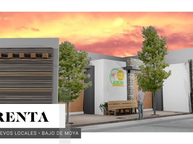 Local Comercial en renta en Bajo De Moya, Lagos de Moreno