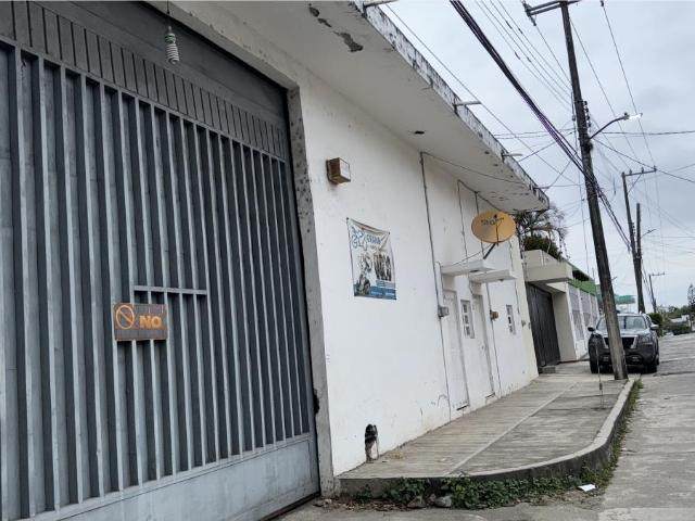Locales Comerciales en renta en Martínez De La Torre