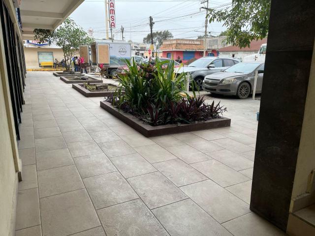 Local Comercial en renta en Altamira, Tamaulipas