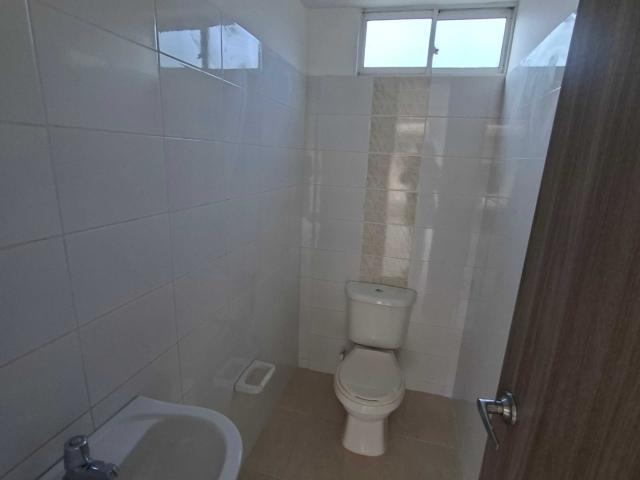 Local En Venta En Floridablanca En Casco Antiguo V313733