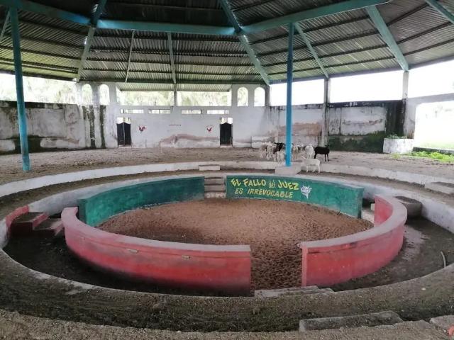 Local Comercial en venta en Villa Corona, Jalisco
