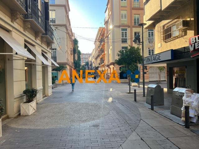 Local Comercial en venta en Soho, Málaga