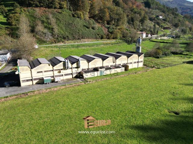 Nave en venta en Urola-Kosta, Guipúzcoa