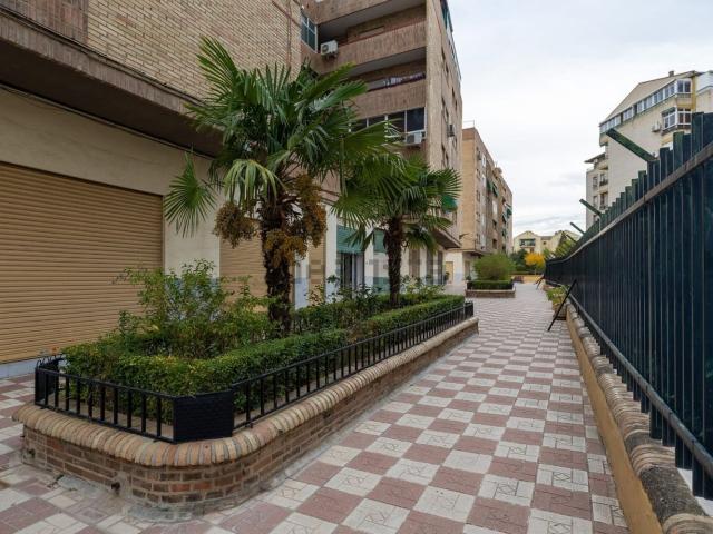 Local Comercial en venta en Chana, Comarca de la Vega de Granada