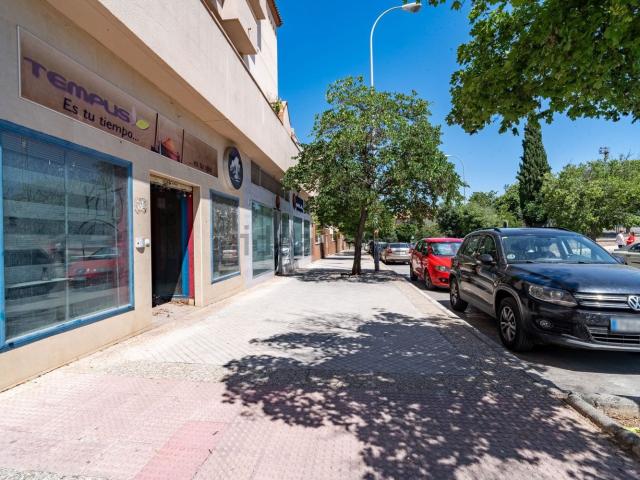 Local Comercial en venta en Chana, Comarca de la Vega de Granada