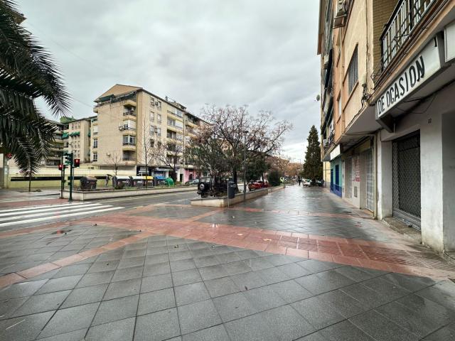 Local Comercial en alquiler en Granada, Angustias - Chana - Encina