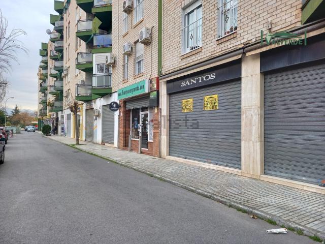 Local Comercial en alquiler en Granada, Joaquina Eguaras