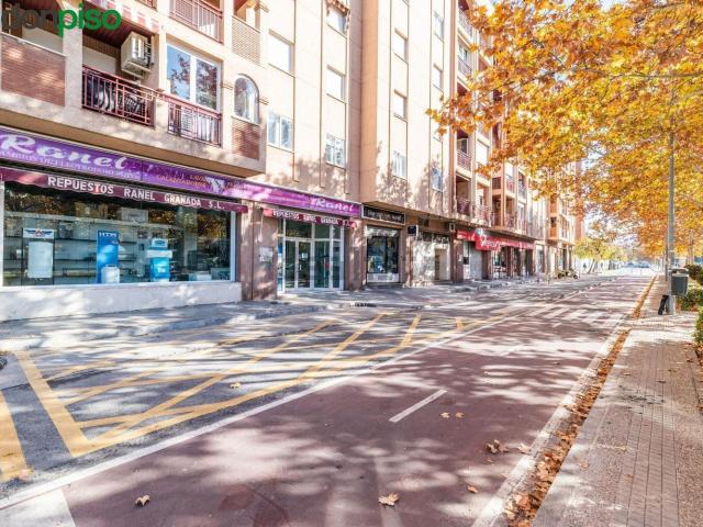 Local Comercial en venta en Granada, La Cruz