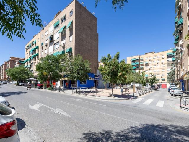 Local Comercial en venta en Zaidín, Comarca de la Vega de Granada